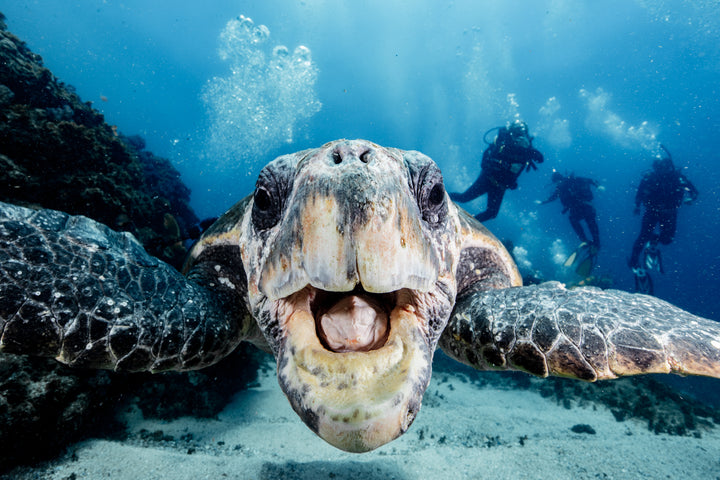 Sundive Byron Bay is Byron Bay’s only PADI 5 star Dive Centre