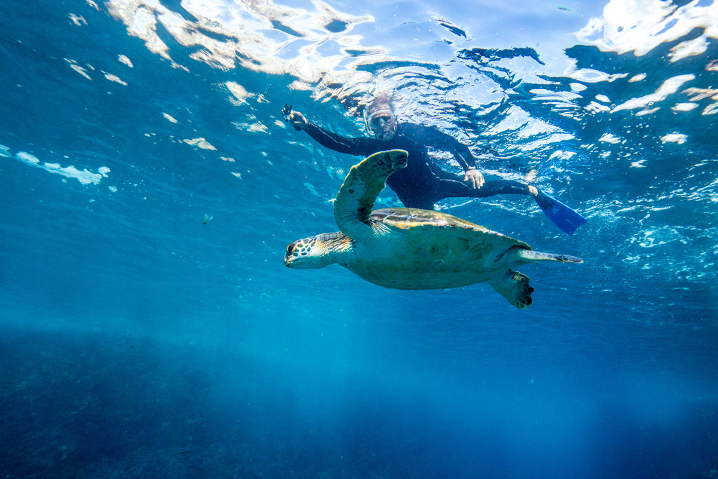 Sundive Byron Bay is Byron Bay’s only PADI 5 star Dive Centre